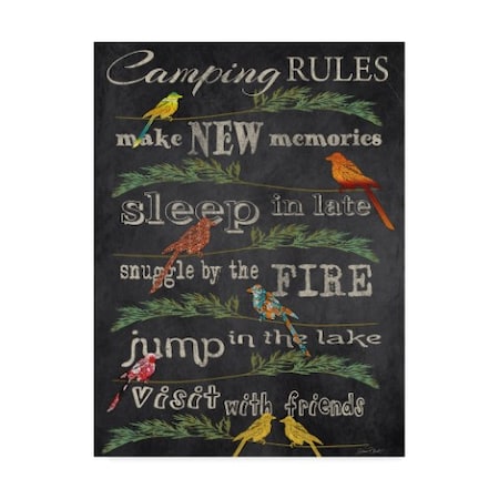 Jean Plout 'Camping Rules Chalkboard' Canvas Art,35x47